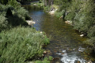 DSC_4290 (Large).JPG